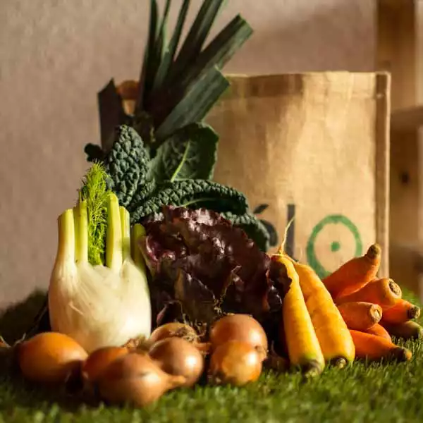 Panier de légumes Bio Zéro déchet